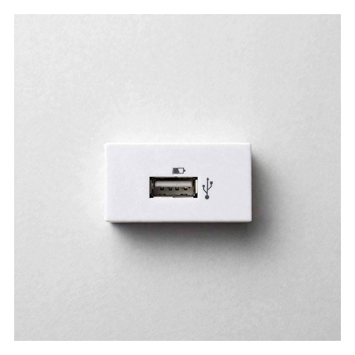 Módulo Tomada Carregador USB 1.0A Bivolt - Stella
