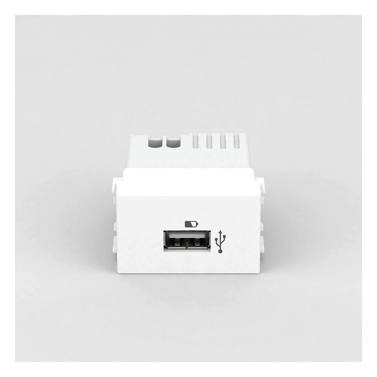 Módulo Tomada Carregador USB 1.0A Bivolt - Stella 2